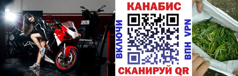 Каннабис сатива  Касли 